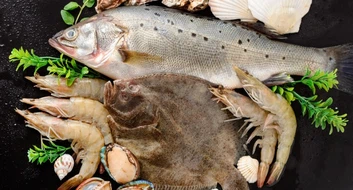 11-11-2025114937cnbingcom 11-11-2025114937cnbingcom